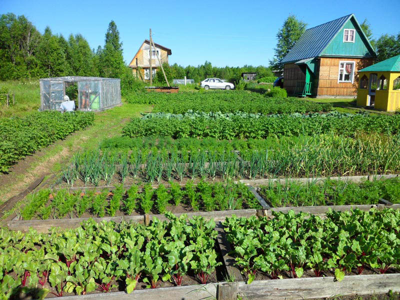В садоводческих обществах Кузбасса повысится надежность и безопасность электроснабжения 