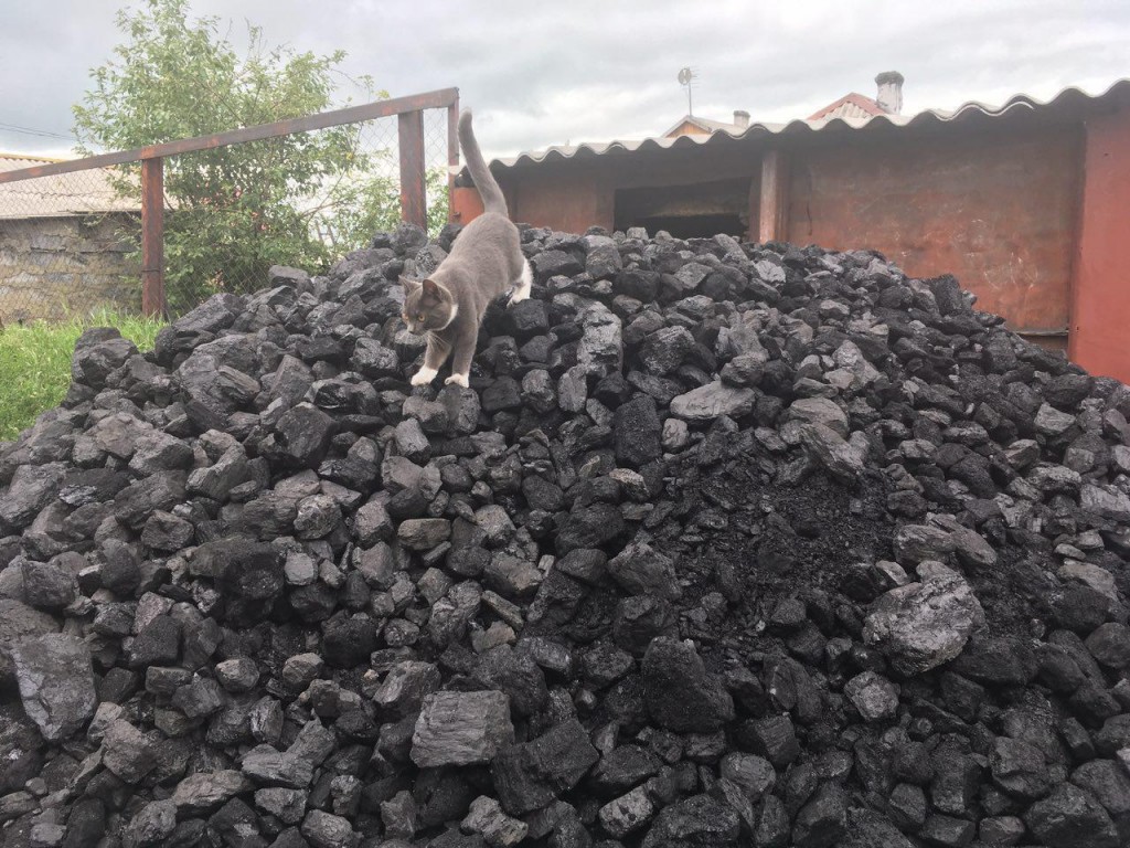 Около 30 % участников областной акции получили по 4 тонны гуманитарного угля с мая 2017 года