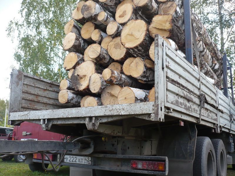  «Черных лесорубов» задержали в Ижморском районе