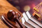 В Новокузнецке вынесен приговор за жестокое обращение с животными