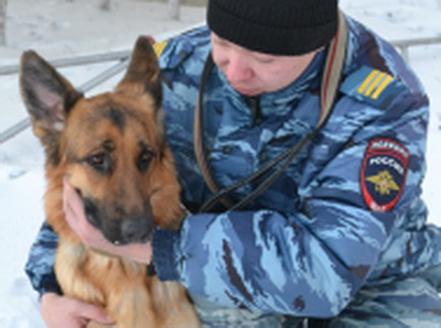 В Белово служебная овчарка Юста помогла полицейским задержать подозреваемого в краже