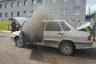 В Новокузнецке полицейские-кинологи со всей Сибири участвуют в тренировочных сборах