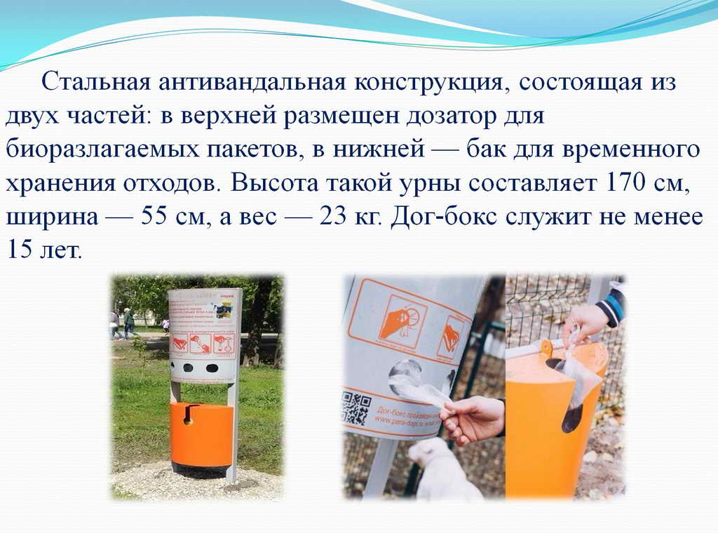 В Таштагольском районе будут реализованы молодежные проекты по благоустройству