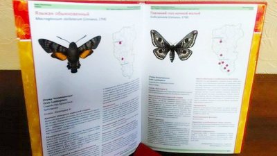 К 300-летию открытия Кузбасса переиздадут региональную Красную книгу