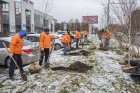 Кузбасская сельхозакадемия стала региональным оператором проекта «Экологический патруль»