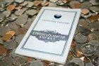 Жительнице Тяжинского района вынесен приговор по фактам мошенничества 