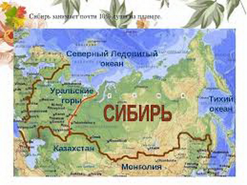 Экспедиция Русского географического общества посетит Кузбасс 25 и 26 августа
