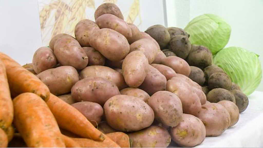 По решению губернатора Сергея Цивилева в 2019 году расширен список получателей овощных наборов
