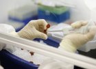 Новое открытие может помочь в создании лекарства от COVID-19 — его автору всего 14 лет