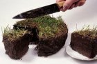 В Кузбассе будут судить бывшего председателя садового товарищества 