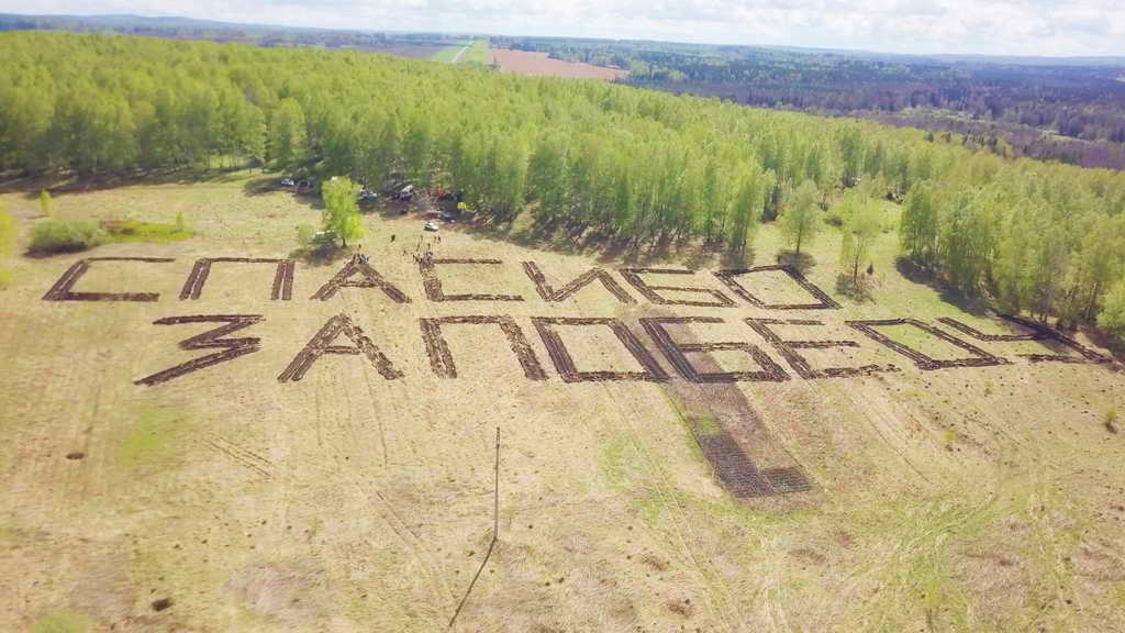 Более 340 тысяч деревьев высадили в Кузбассе по акции «Сад памяти»