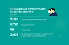 Сводка по коронавирусу по состоянию на 24 сентября 