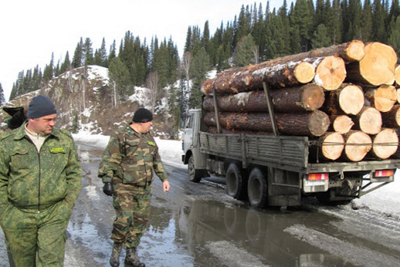 В Кузбассе подведены итоги операции «Лес»