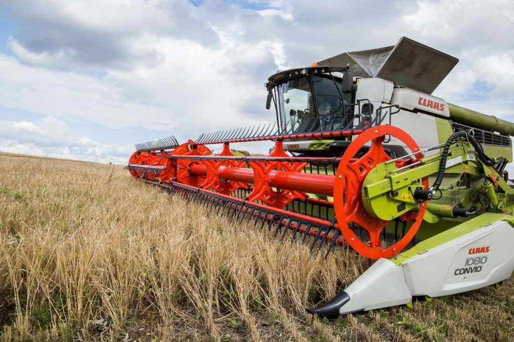 Аграрии Кузбасса собрали наивысший урожай зерна за последние 10 лет
