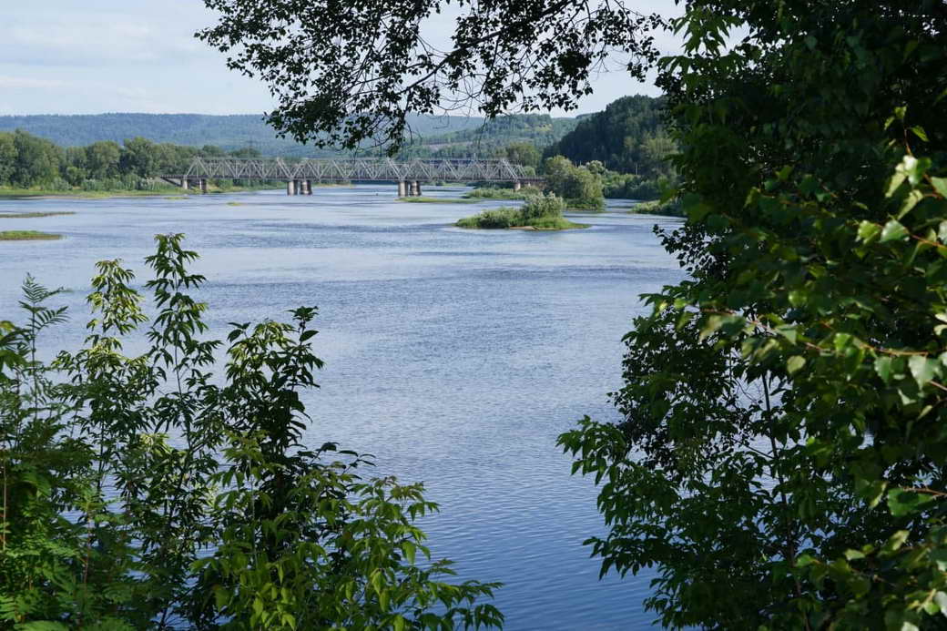 Работу по охране водных объектов в Кузбассе отметили на федеральном уровне Работу по охране водных объектов в Кузбассе отметили на федеральном уровне
