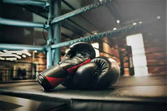 Сборная России снялась с юношеского чемпионата мира по боксу Сборная России снялась с юношеского чемпионата мира по боксу