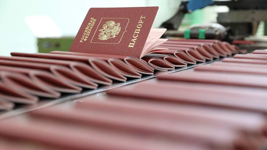 Украинцы стали лидерами по числу получивших гражданство РФ в 2022 году