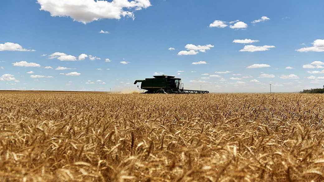 Украина вывозит пшеницу в Европу, несмотря на риск дефицита зерна