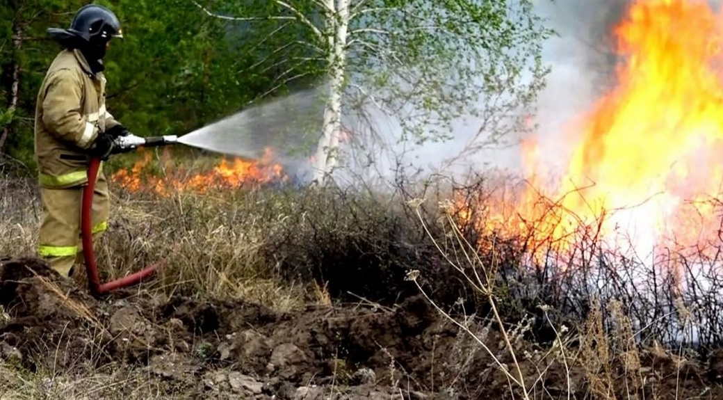 Госдума РФ поддержала кузбасскую инициативу по увеличению штрафов за поджоги в лесу
