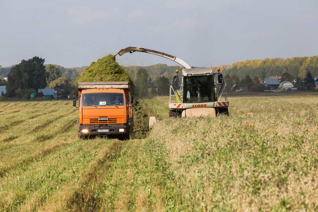 Около миллиарда рублей направят на поддержку кузбасских аграриев в 2022 году