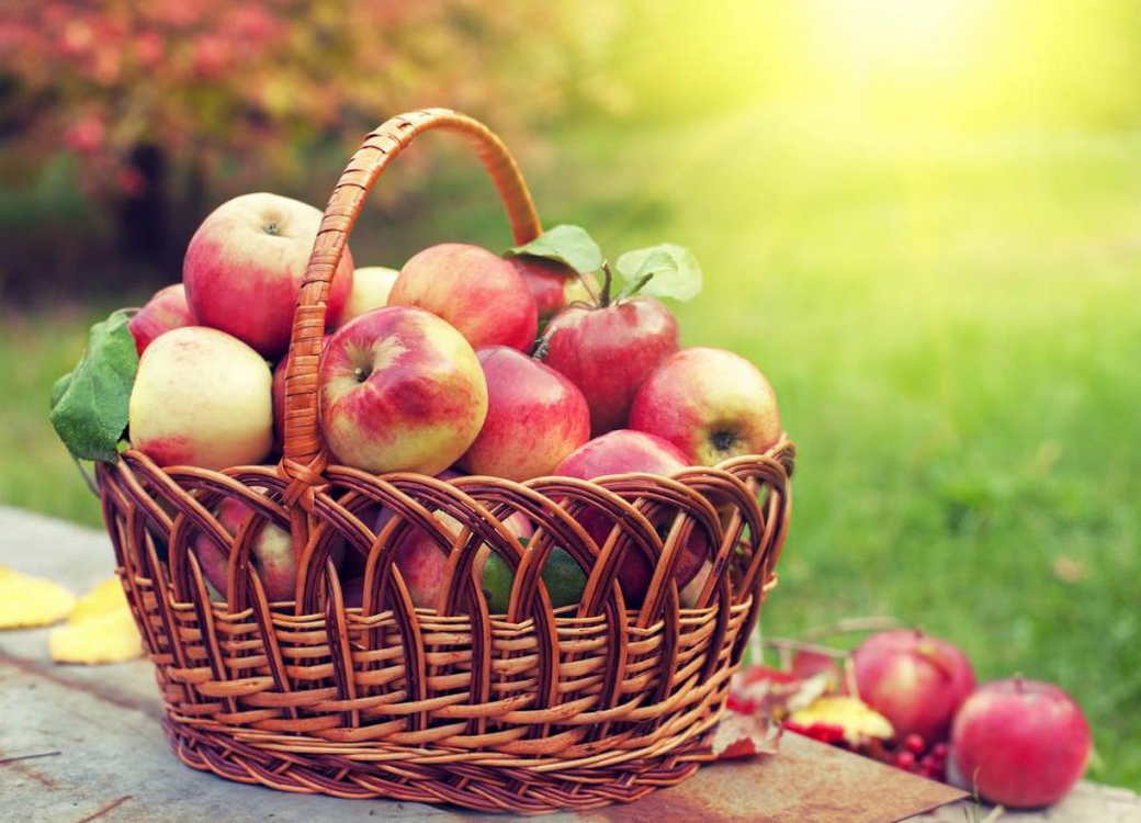 Яблочный спас 2022: традиции и дата празднования