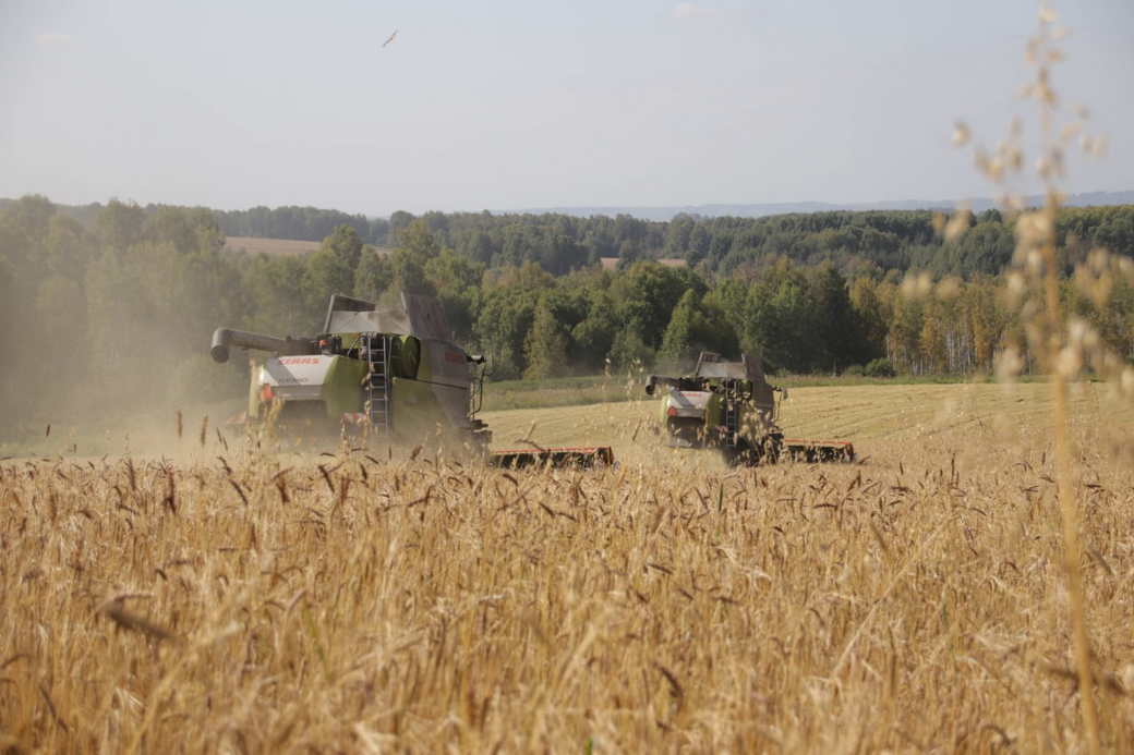Сергей Цивилев: аграрии КуZбасса планируют собрать 1,7 миллиона тонн зерна