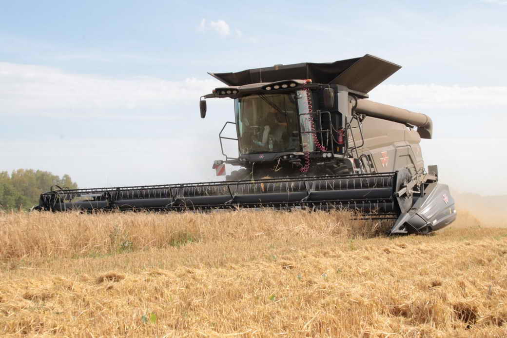 В ООН заявили о направлении 47% пшеницы с Украины в развивающиеся страны