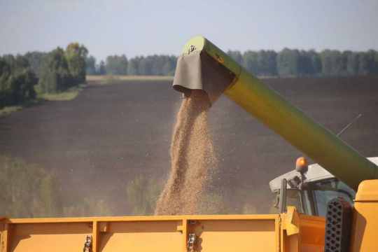 Мировые лидеры поддержали открытость рынков продовольствия Мировые лидеры поддержали открытость рынков продовольствия