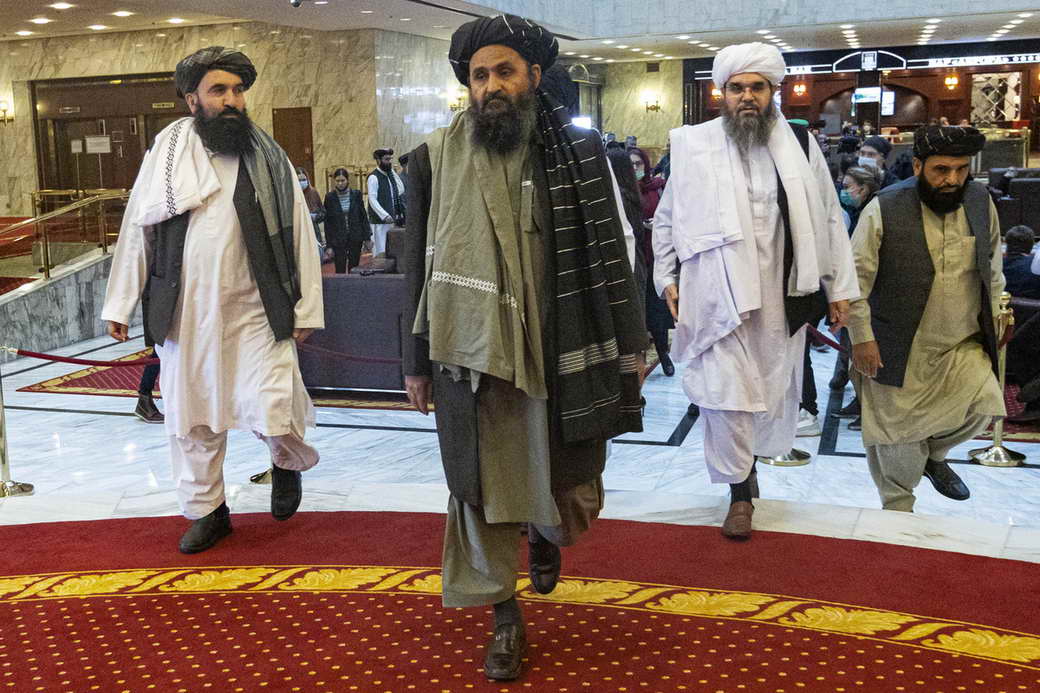 Лидер талибов запретил выращивание марихуаны в Афганистане