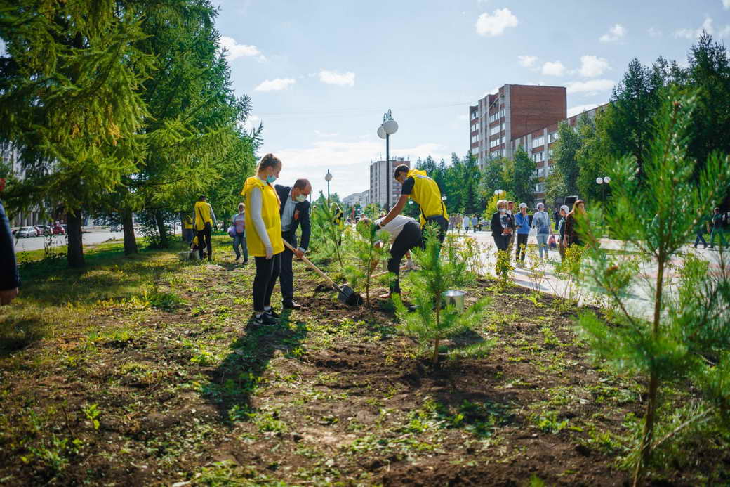 Этой весной в рамках акции «Сад памяти» в КуZбассе планируют высадить более 460 тысяч деревьев