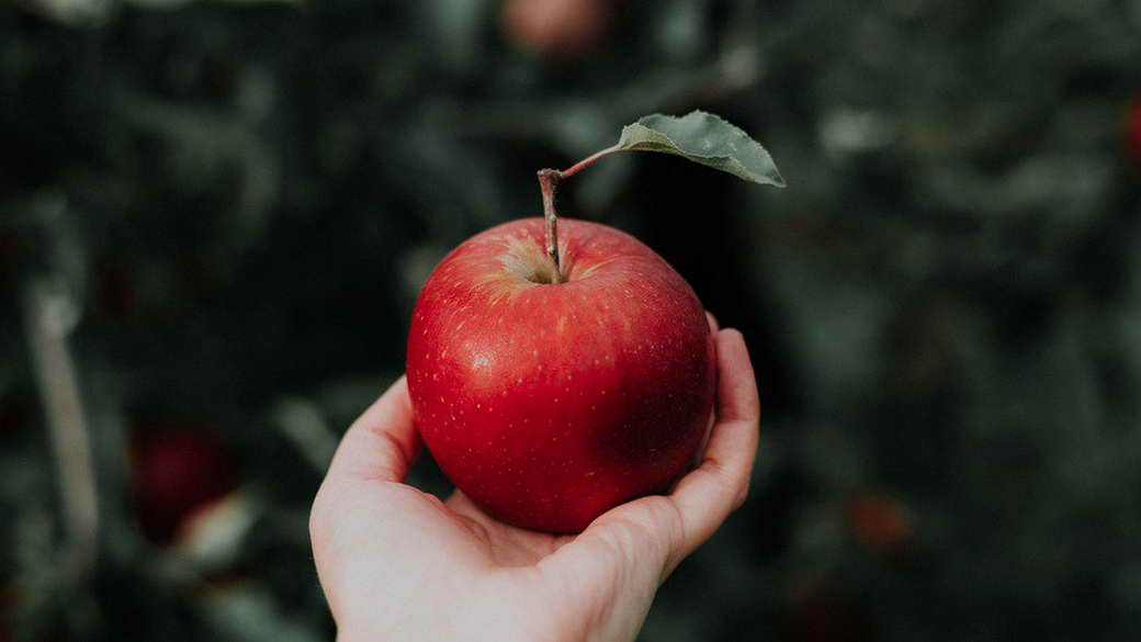 Ученые раскрыли целебный эффект от регулярного употребления яблок