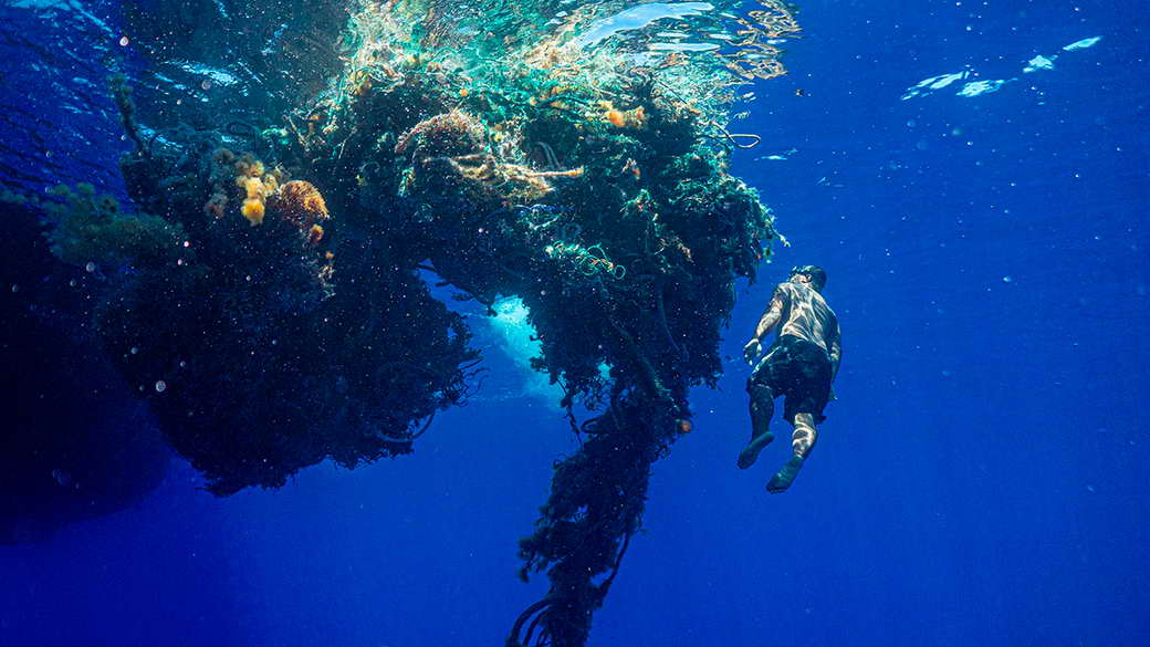 На большом тихоокеанском мусорном пятне появилась новая экосистема