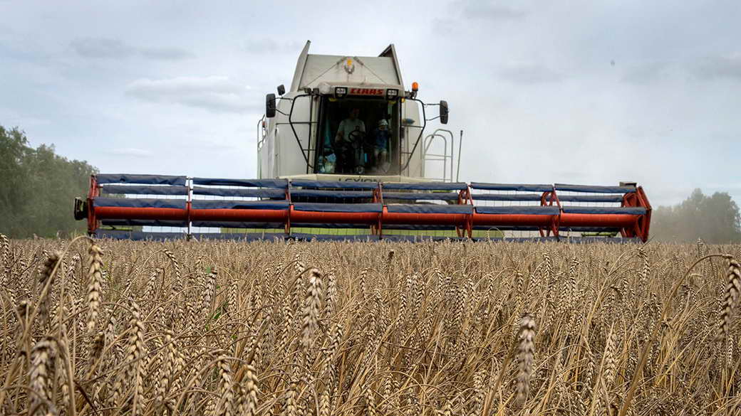 Молдавия тоже решила отказаться от украинского зерна