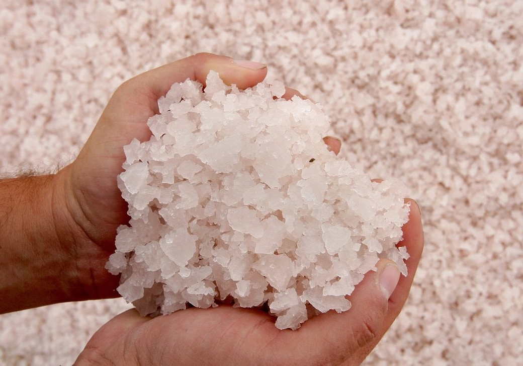 Китайцы начали вывозить соль из Приморья на фоне сброса воды с «Фукусимы»