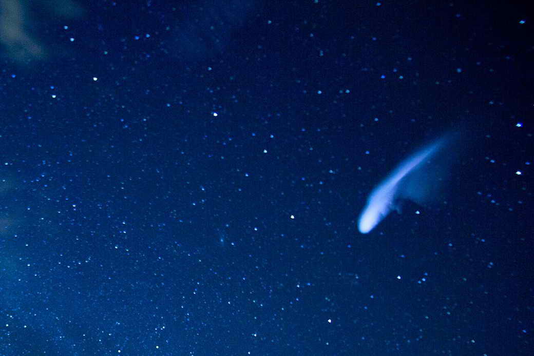 Метеорный поток Ориониды достигнет пика активности в ночь на 22 октября