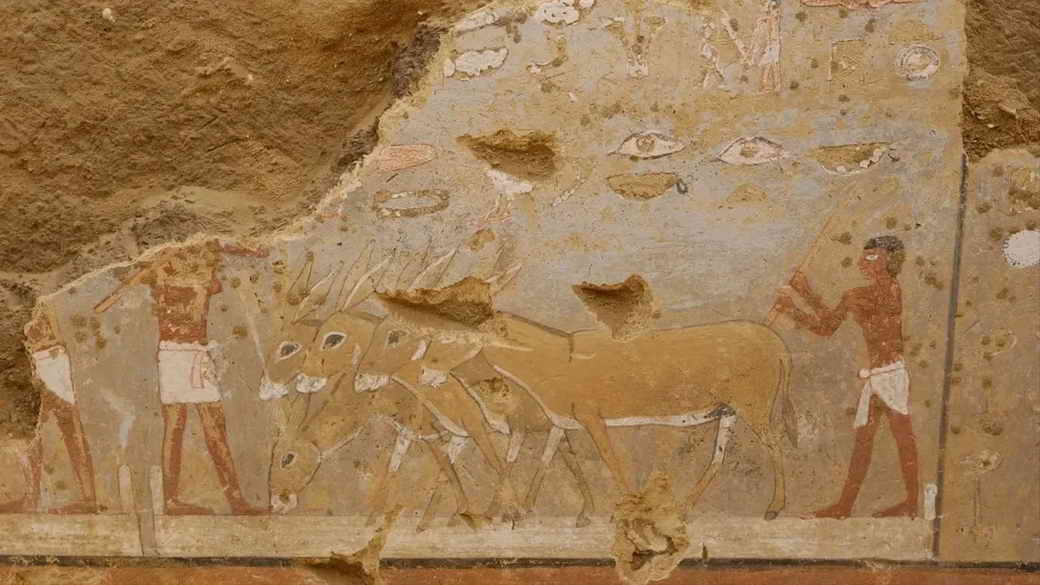 В Египте нашли 4300-летнюю гробницу: что скрыто внутри