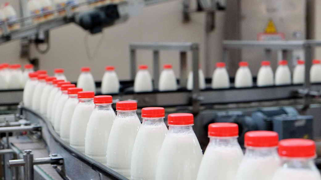 Розница попросила вернуть право продажи «бракованных» молочных продуктов