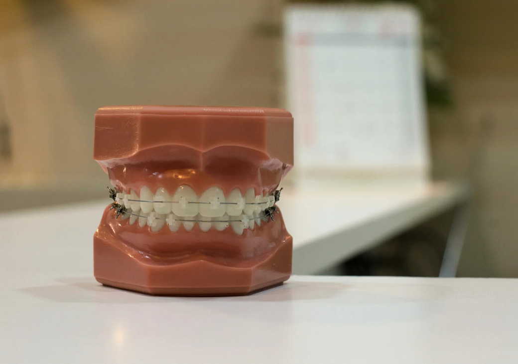 В Японии создали лекарство, способное вырастить третий набор зубов