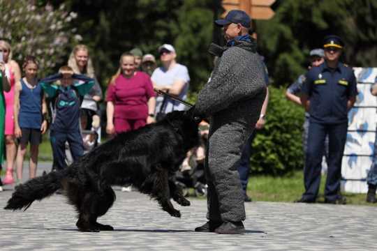 Илья Середюк поздравил новобранцев ГУФСИН с принятием присяги