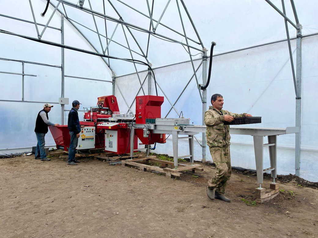 В Кузбассе завершается строительство крупнейшего в регионе питомника лесных растений с закрытой корневой системой