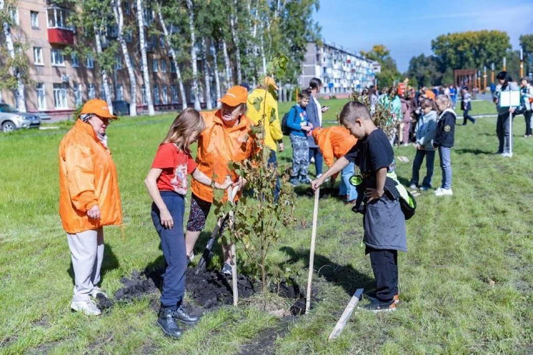 В Кузбассе высадят 2,5 млн деревьев в рамках Всероссийской акции «Сохраним лес»