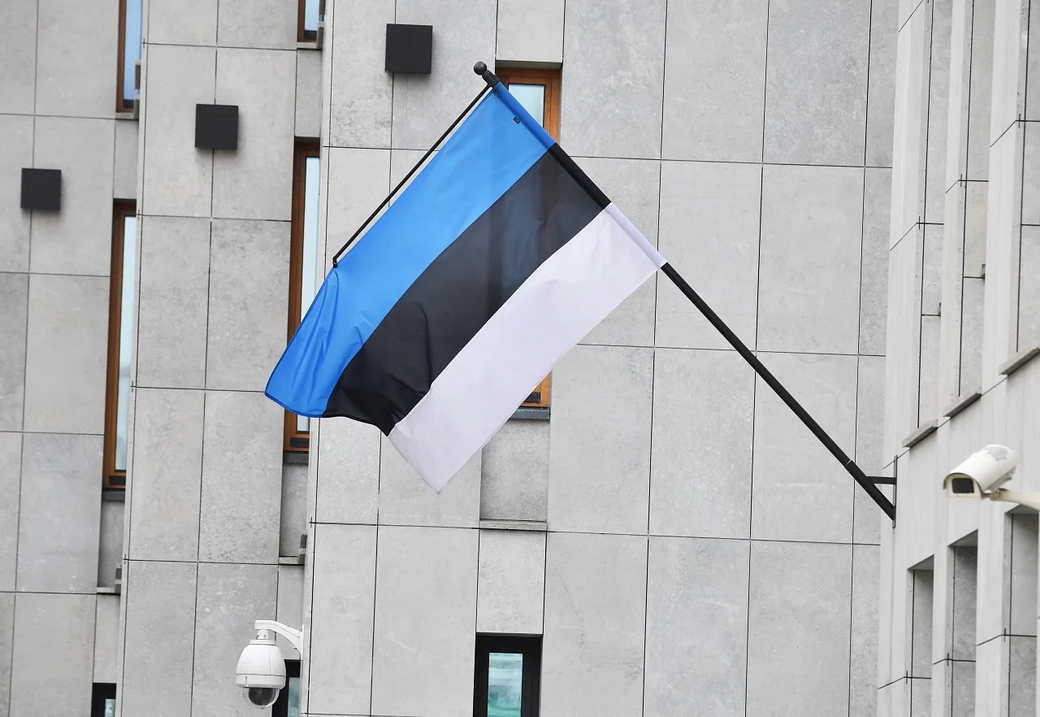 Министр обороны Эстонии призвал западные страны не отправлять войска на Украину