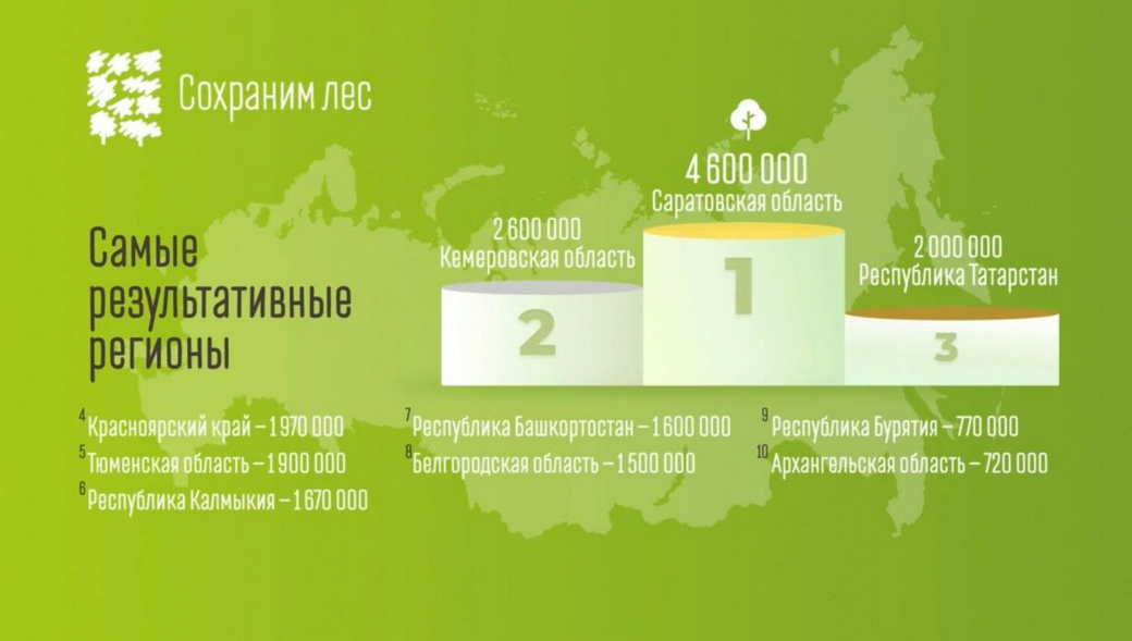 Кузбасс вошел в число лучших регионов России по количеству высаженных деревьев в рамках акции «Сохраним лес»