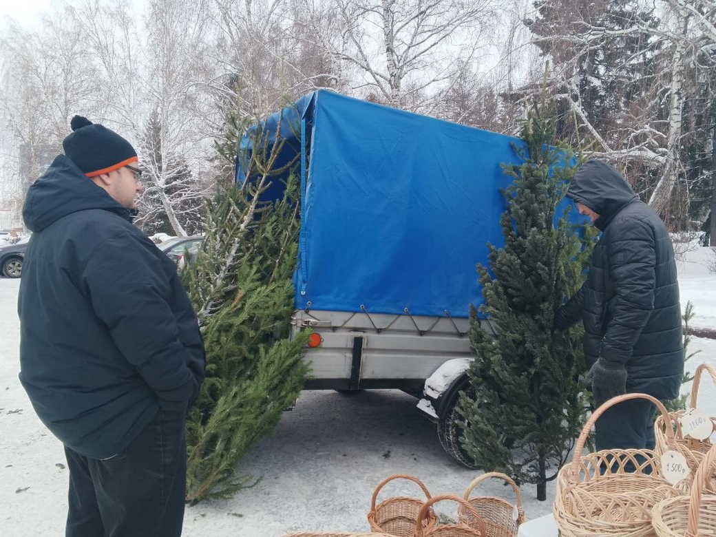 Предновогодние сельскохозяйственные ярмарки пройдут в Кузбассе Предновогодние сельскохозяйственные ярмарки пройдут в Кузбассе