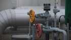 В Словакии оценили ущерб ЕС от остановки транзита газа из РФ в €70 млрд