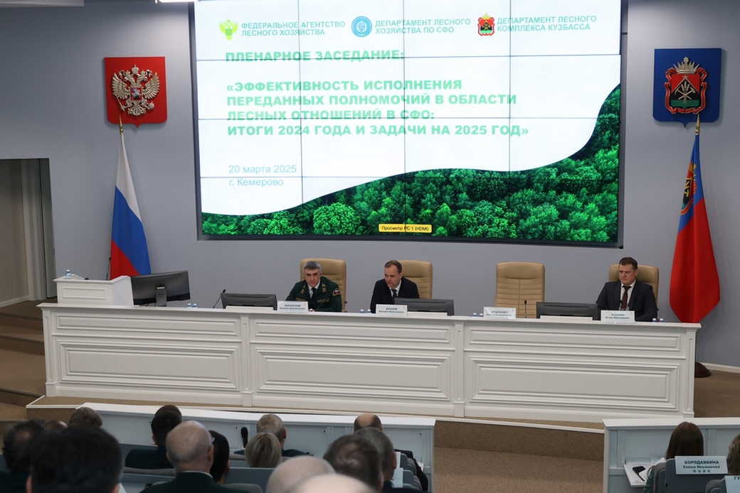 В Кемерове обсудили вопросы охраны лесов от пожаров на территории Сибири