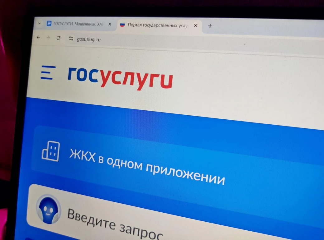 На «Госуслугах» создадут «цифровой профиль» россиян: что это