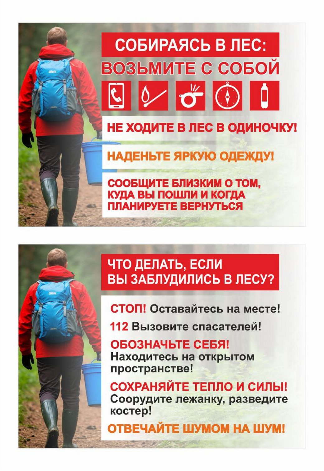Кузбассовцев призывают соблюдать правила безопасности при сборе грибов Кузбассовцев призывают соблюдать правила безопасности при сборе грибов