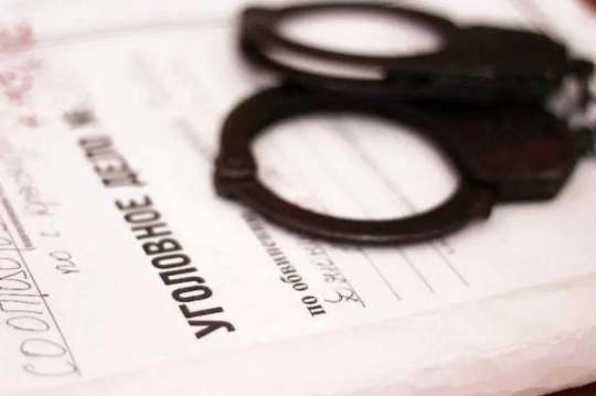 Против журналистки Лариной возбудили уголовное дело