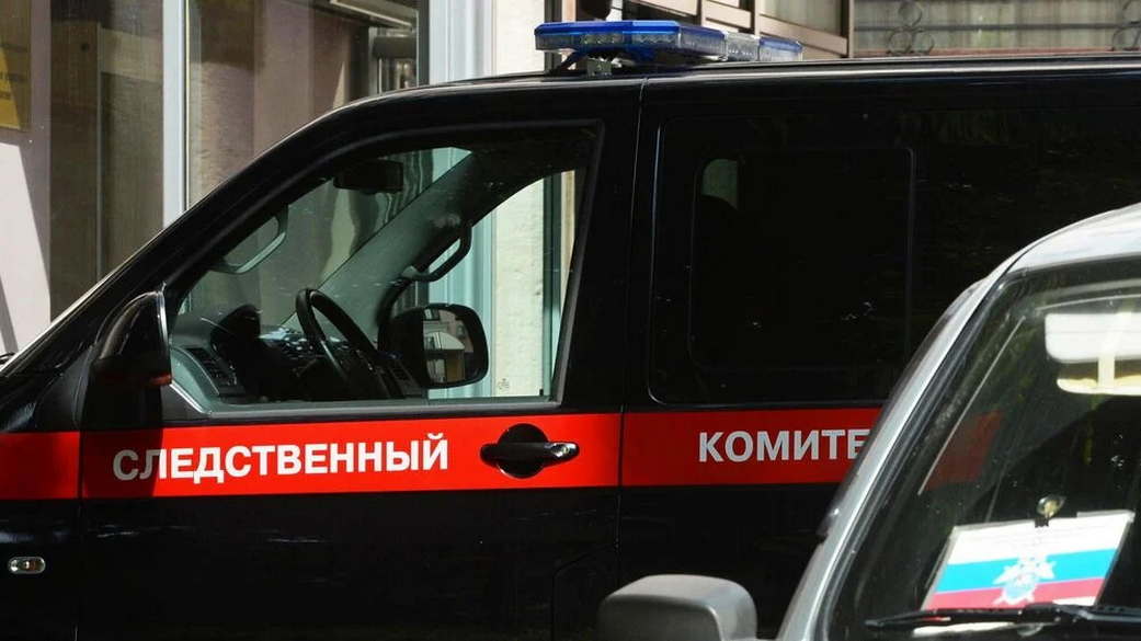 Появились подробности о возвращении детей, пропавших в Самарской области